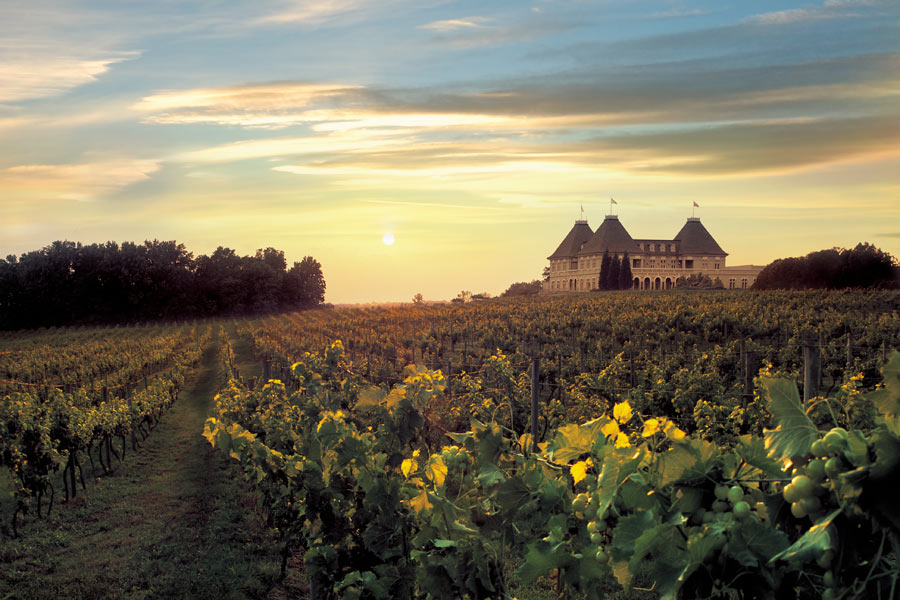 chateau-elan-winery.jpg